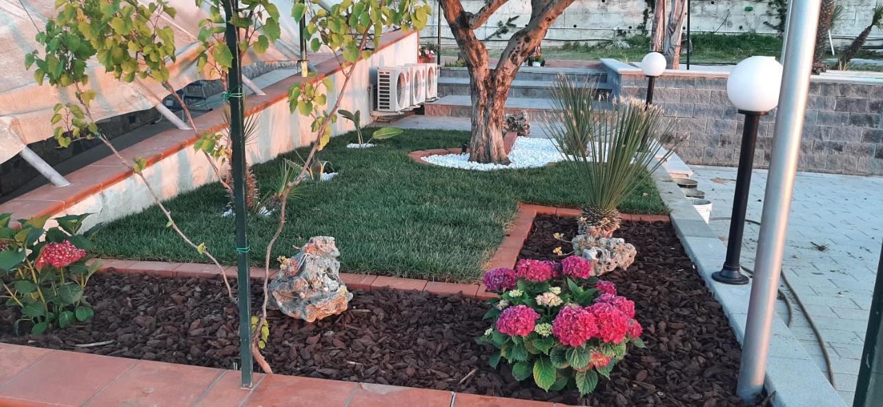 Villa Mola Bed And Breakfast Corbara  Εξωτερικό φωτογραφία