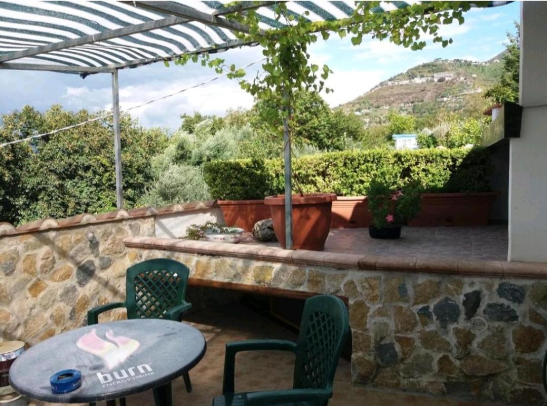 Villa Mola Bed And Breakfast Corbara  Εξωτερικό φωτογραφία