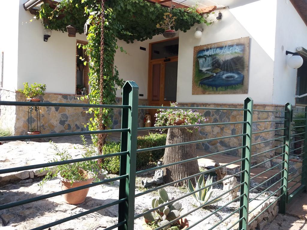 Villa Mola Bed And Breakfast Corbara  Εξωτερικό φωτογραφία