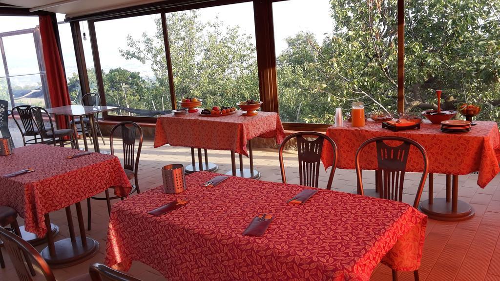 Villa Mola Bed And Breakfast Corbara  Εξωτερικό φωτογραφία